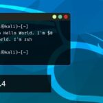 Hacker Platformu Kali Linux 2020.4 Yayılandı - İşte Yenilikler